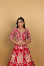 Rani Banarasi lehenga with two types of kali panels