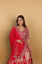 Rani Banarasi lehenga with two types of kali panels