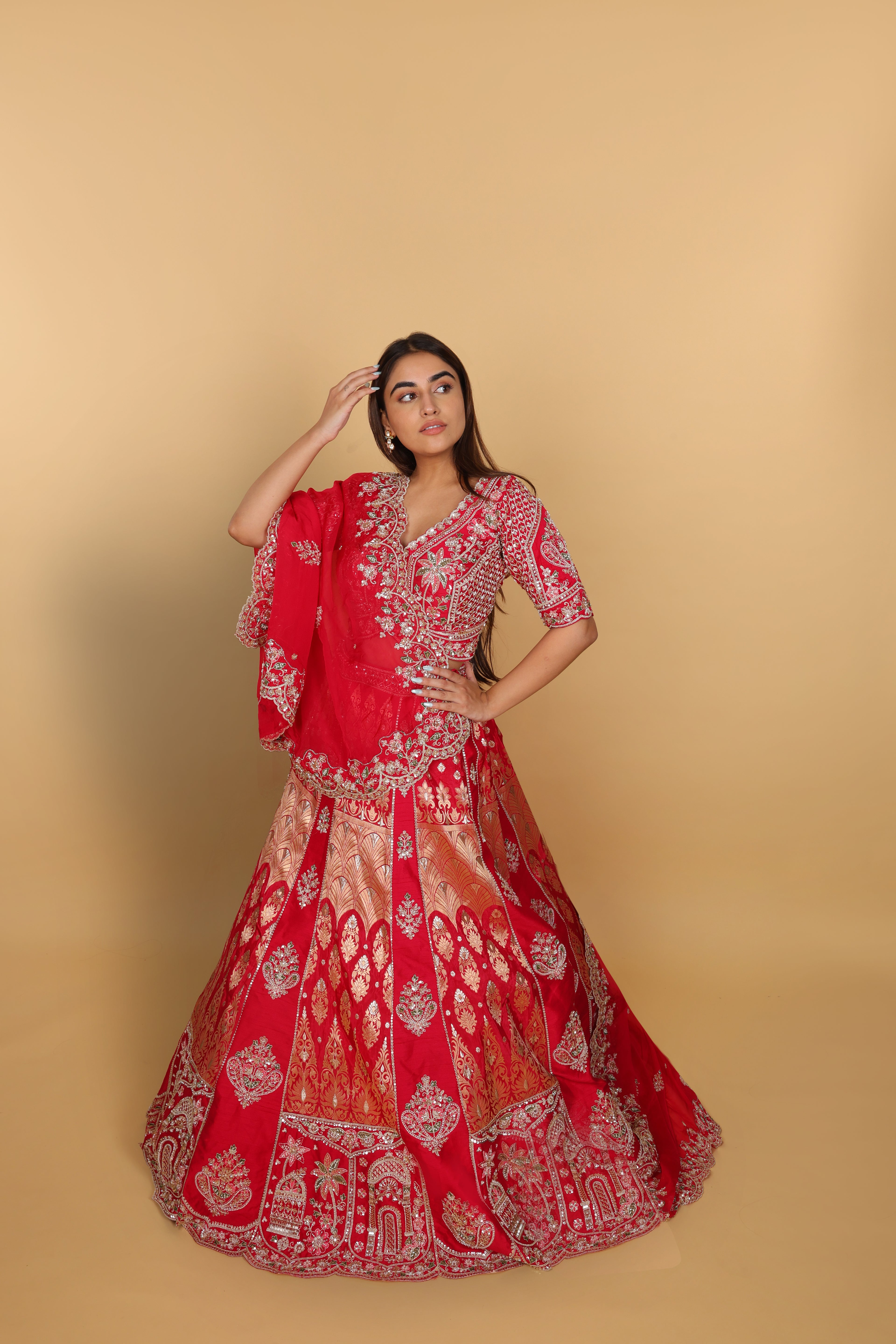Rani Banarasi lehenga with two types of kali panels